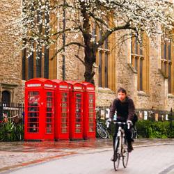 Row of phone boxes